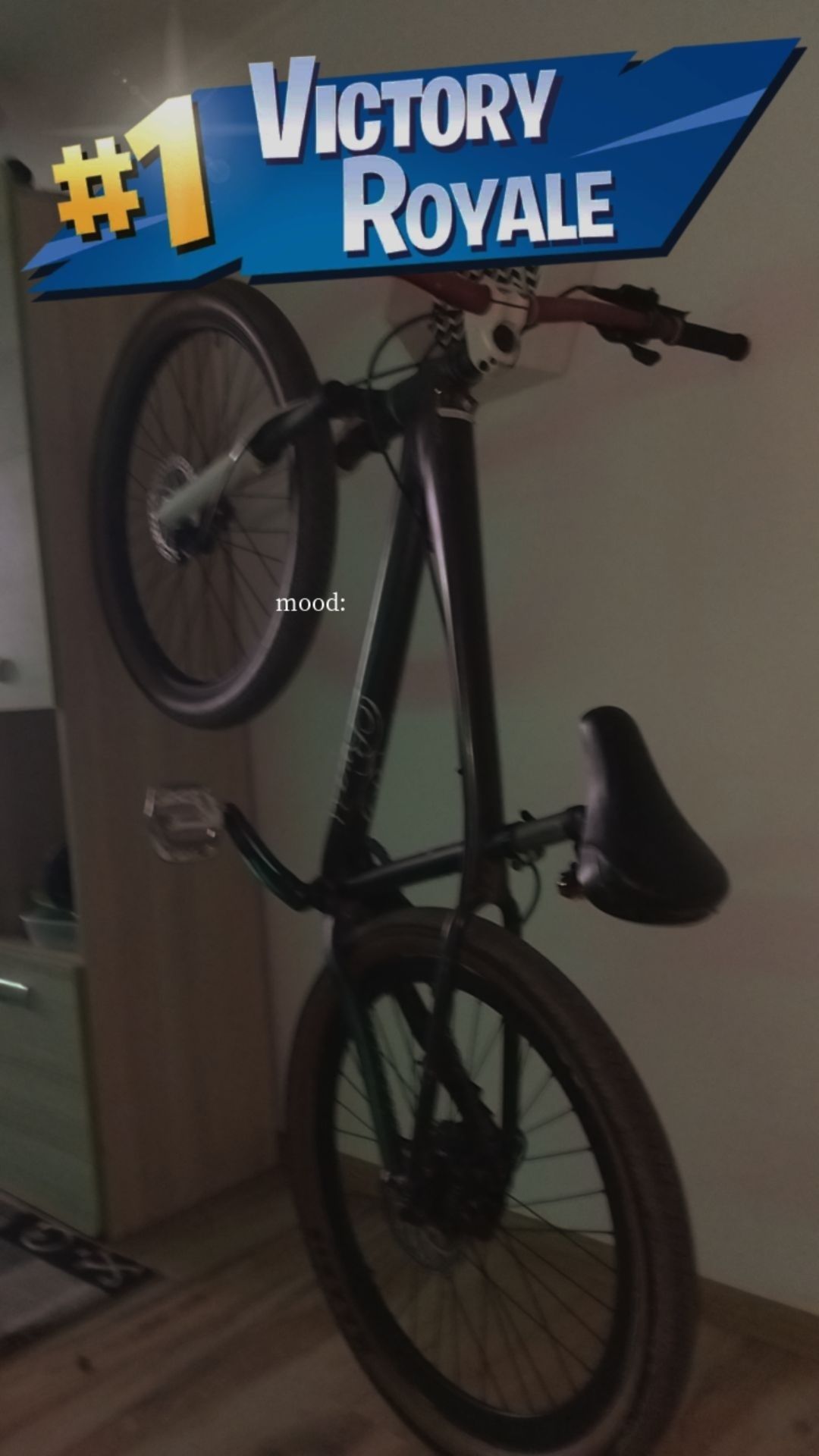 Giant Barss 2 (dirt ,stunt, dh)