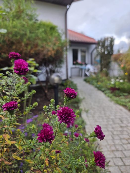 Wynajem mieszkania na osiedlu widok