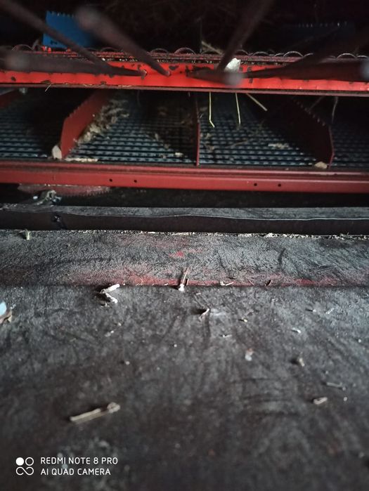 Bizon rekord z058 z sieczkarnia