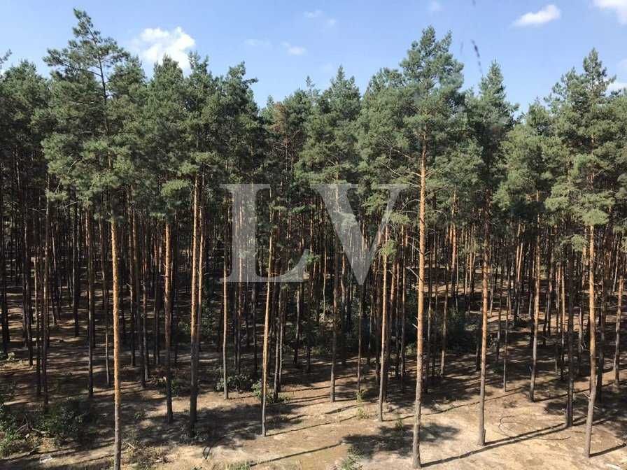 Здам в оренду 1к квартиру біля Центрального парку