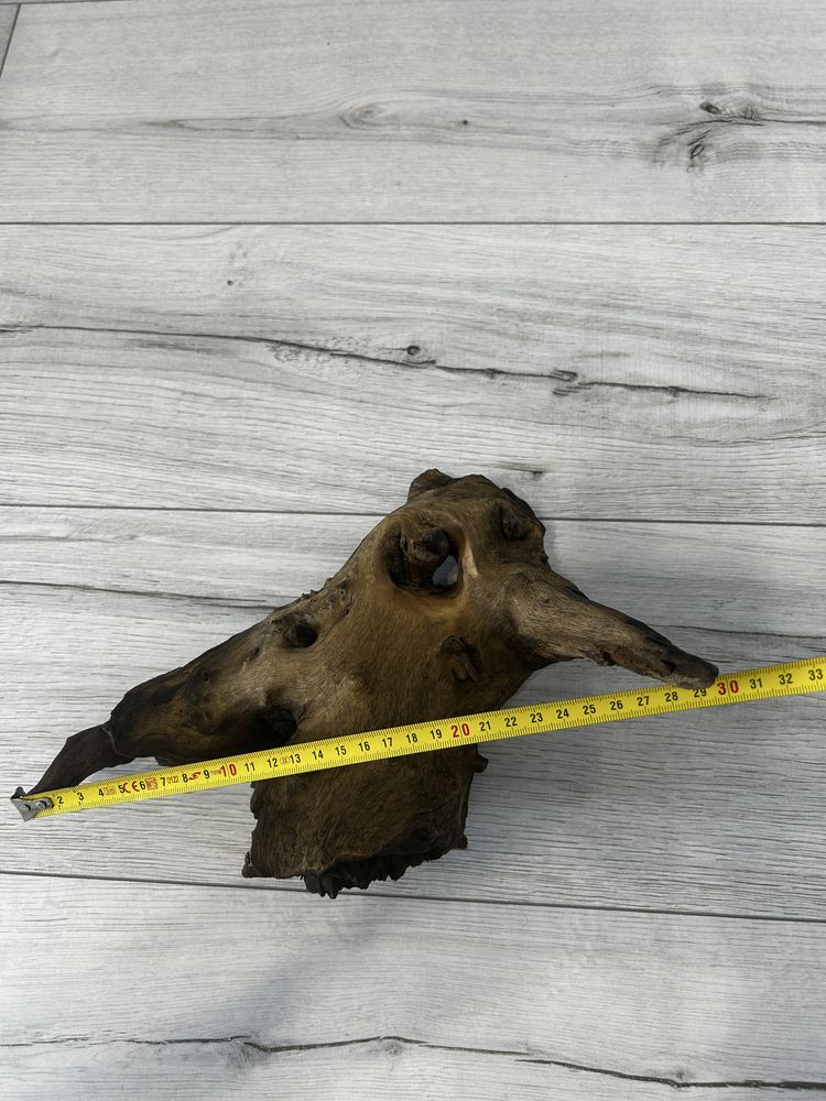 Korzeń mopani 30x21 cm – idealny do akwarium lub terrarium