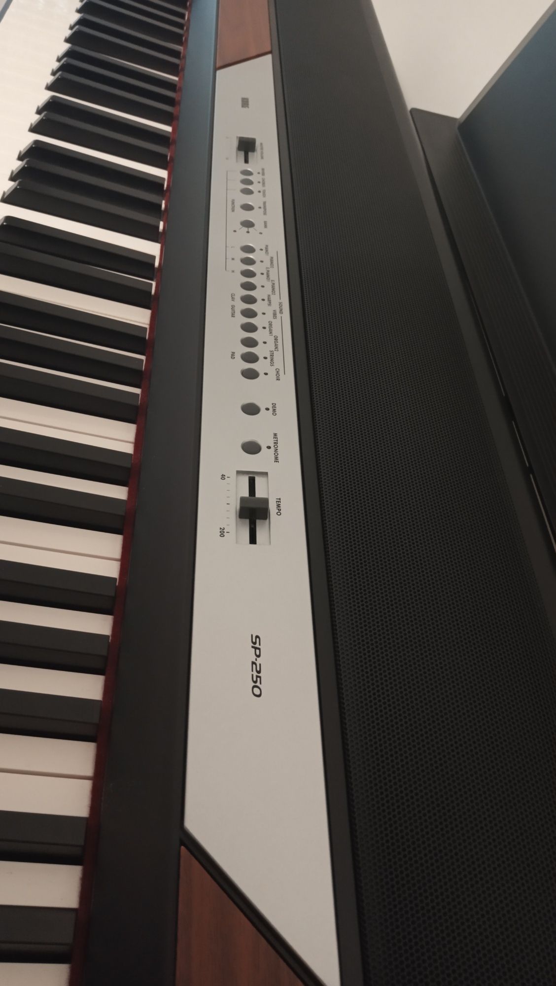 Korg SP-250. Цифрове піаніно