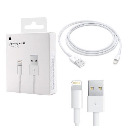 Cabo USB iPhone iPad Lightning carregador Original