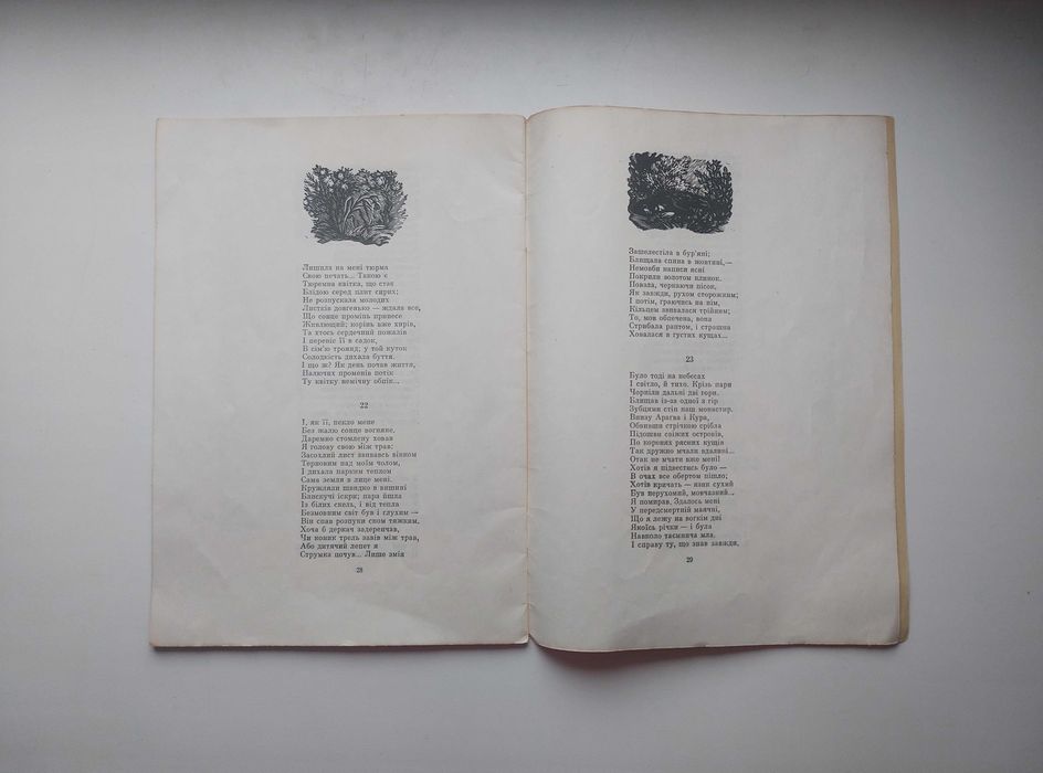 Поема «Мцирі» М.Ю. Лермонтова - СРСР!