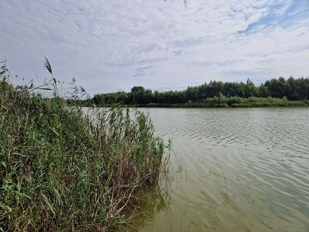 Dobrcz - DZIAŁKA z linią brzegową jeziora - PRZEpiękne położenie!