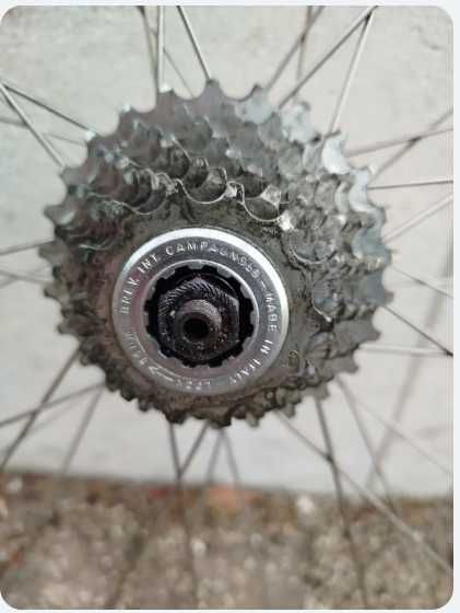 Rodas BTT Shimano 29 de Estrada Campagnolo