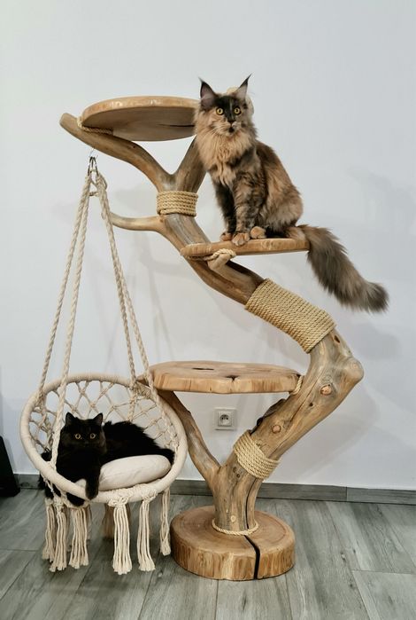 Naturalny Drapak Dla Kota Z Drewna Lina Sizalowa Hamak Kocie Drzewko