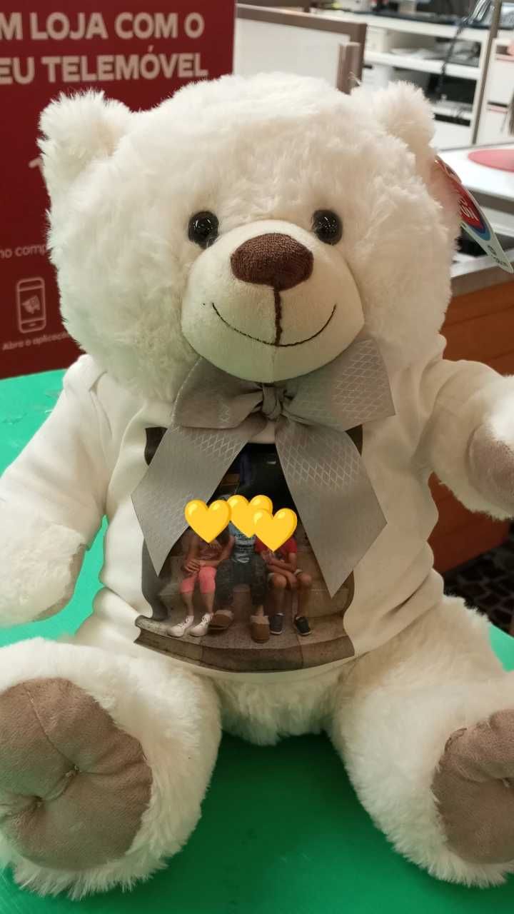 Urso com fotografia gravada