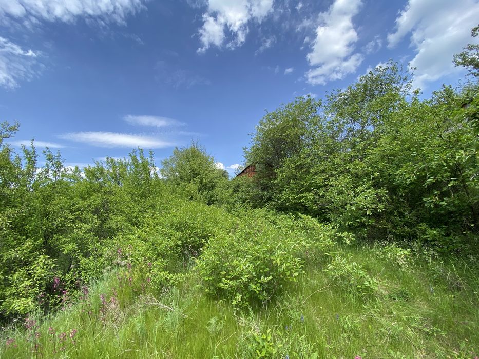 Дача на березі Булатецького ставка, приватизована.