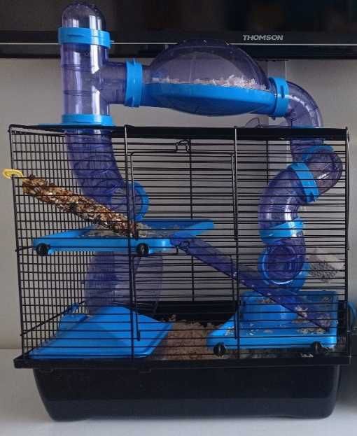 Klatka dla gryzoni chomika myszek zwierząt niebieska kojec domek