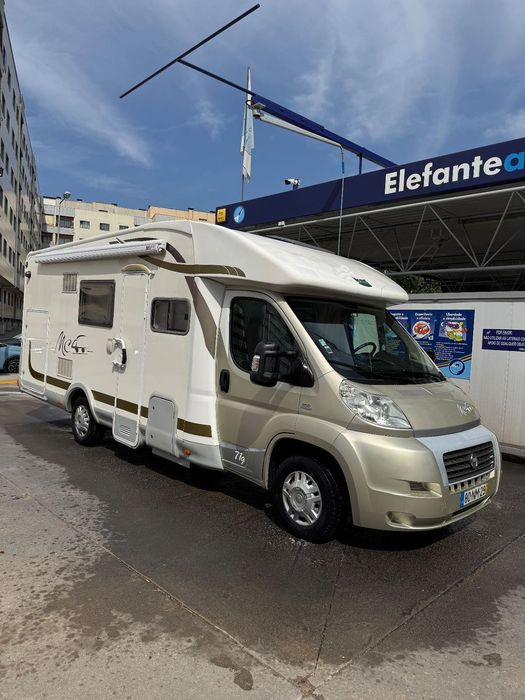 McLouis Yearling ZEH3