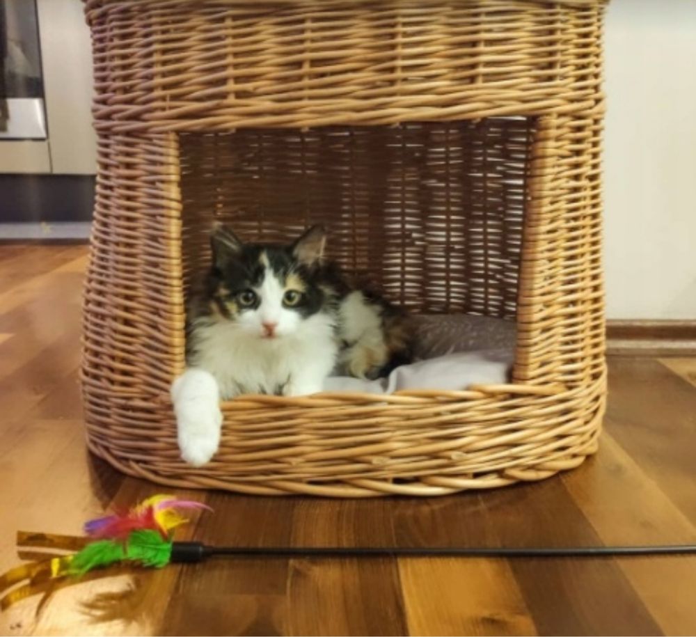 Wiklinowy Domek dla Kota i Psa Legowisko z Poduszkami Budka