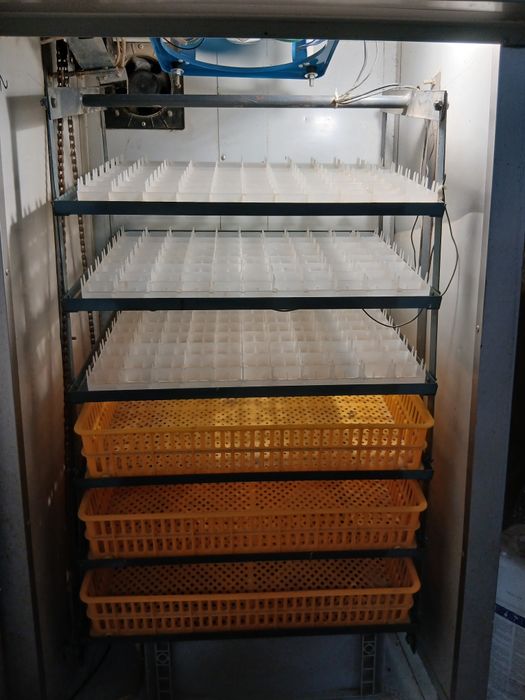 Inkubator 526 jaj pełny automat