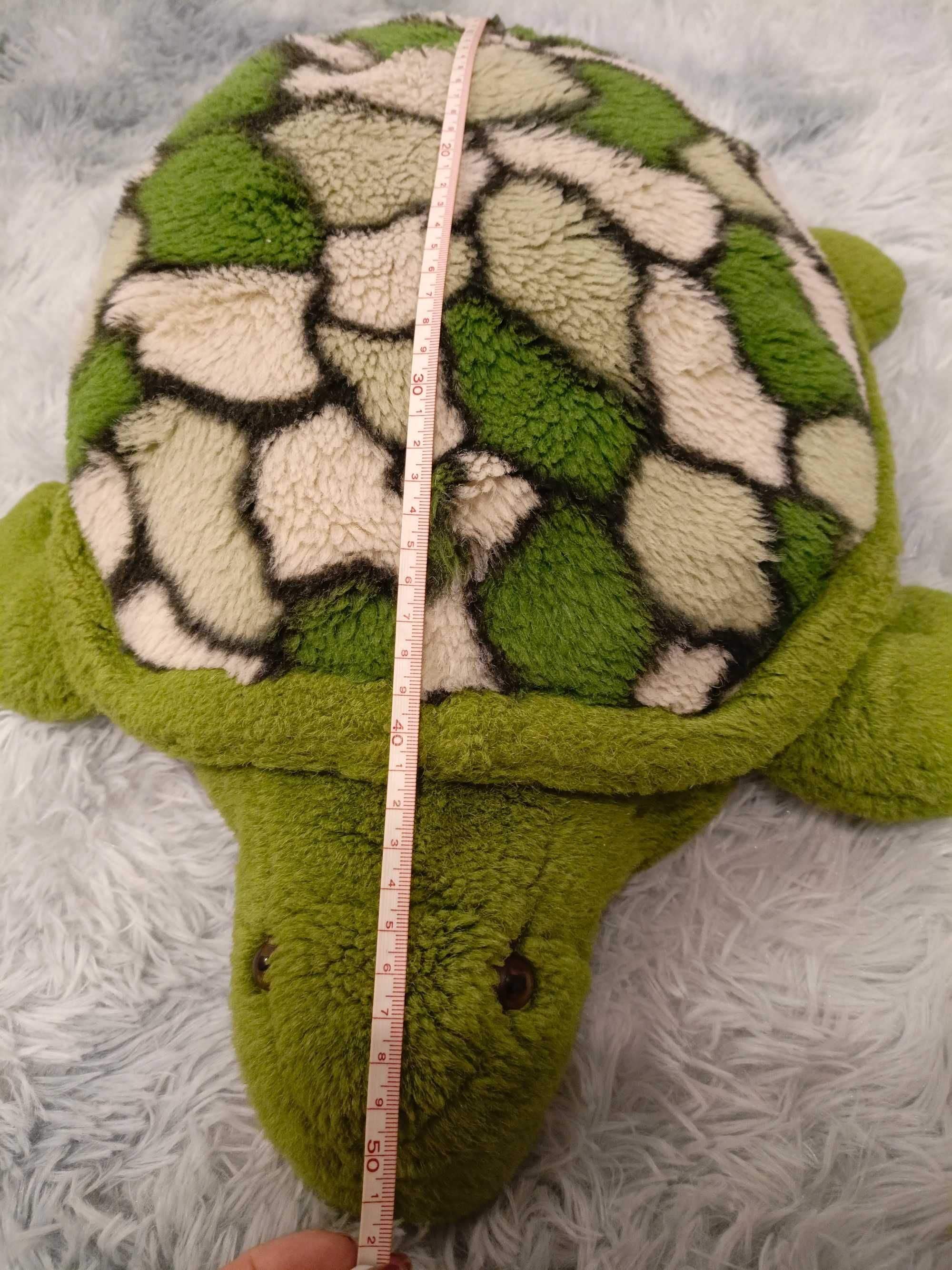 Żółw miś około 50 cm