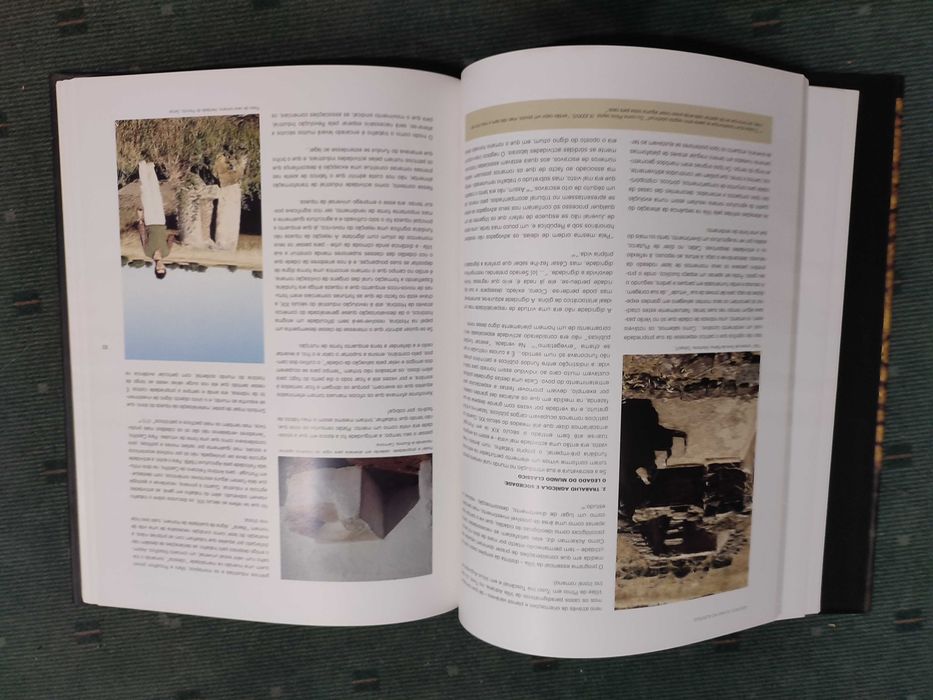 Azeite e Olivais no Alentejo