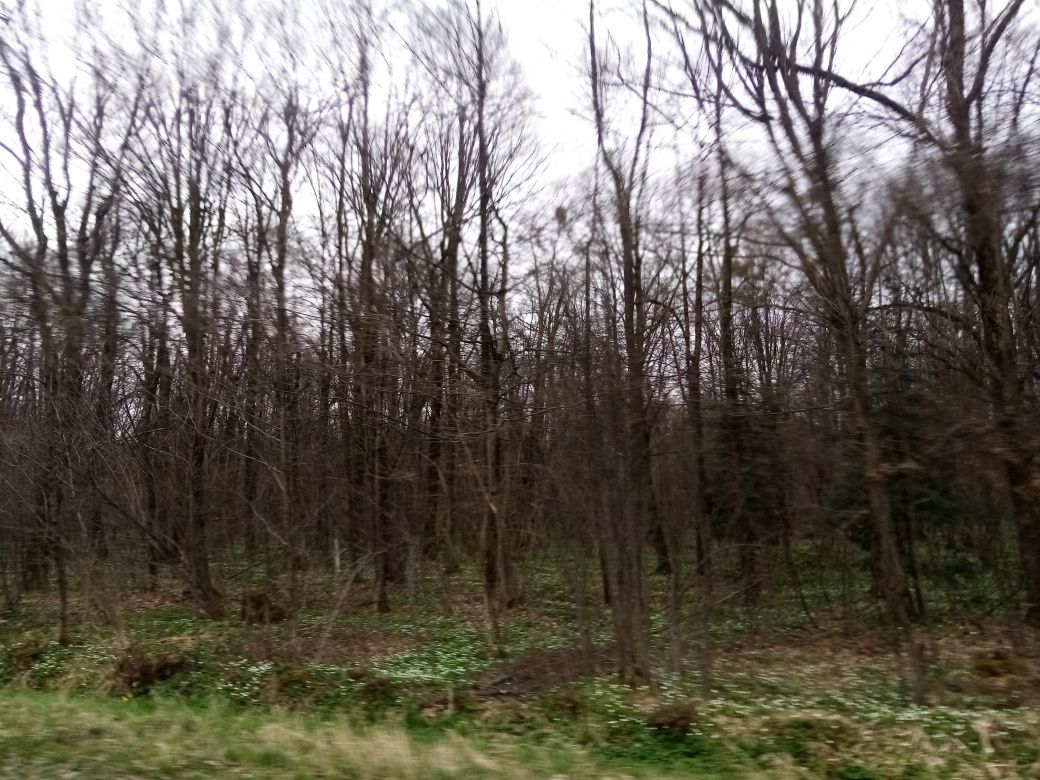 Земельна ділянка в Угринів під лісом