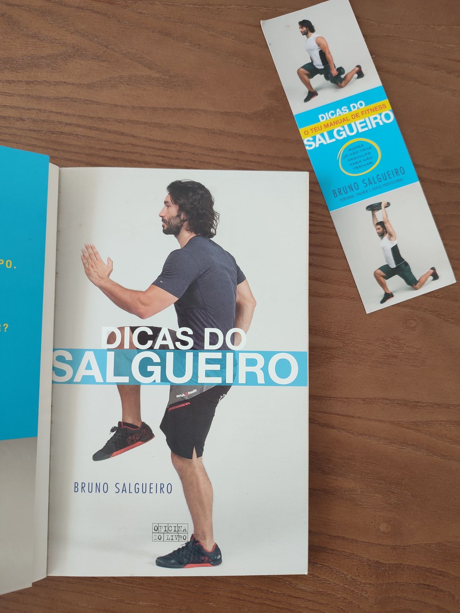 Livro Dicas do Salgueiro