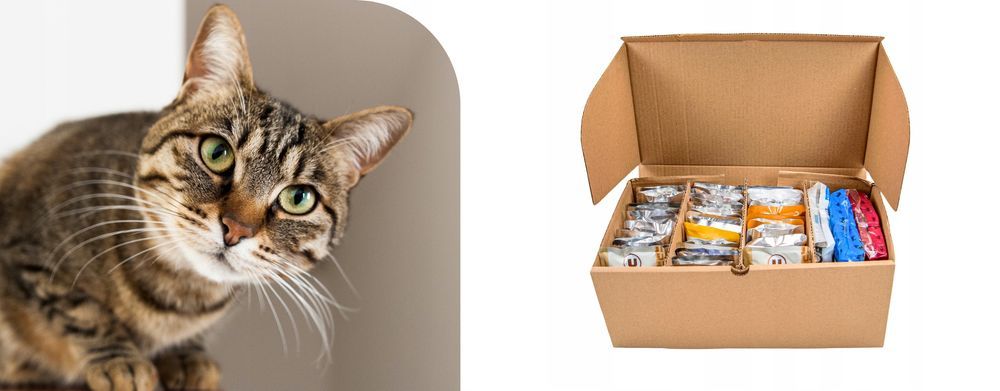 Karma Mokra Dla Kotów Mix Smaków, 100 Saszetek, Duża Paka