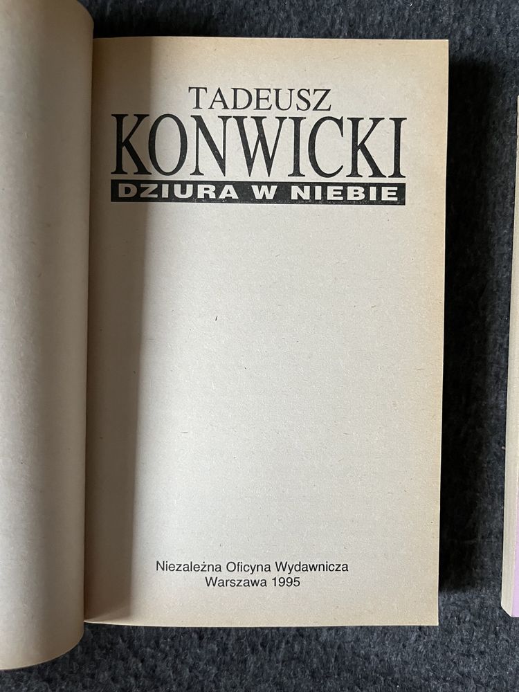 Tadeusz Konwicki - Dziura w niebie, Pamflet na siebie