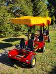 Gokart 4-osobowy Berg + przyczepa + dodatkowe siedzenie . 7- osobowy