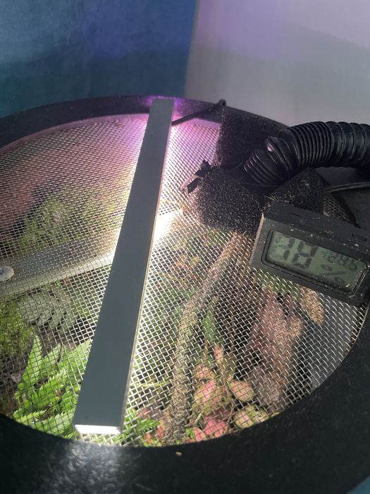 Terrarium tuba bio aktywne 30/20