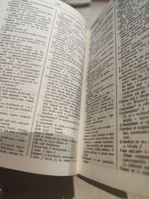 Słownik niemiecko- polski