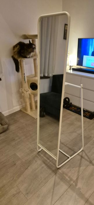 Oddam za darmo lustro i wage