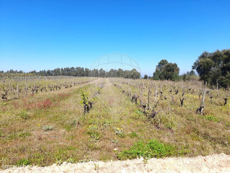 Terreno  para venda
