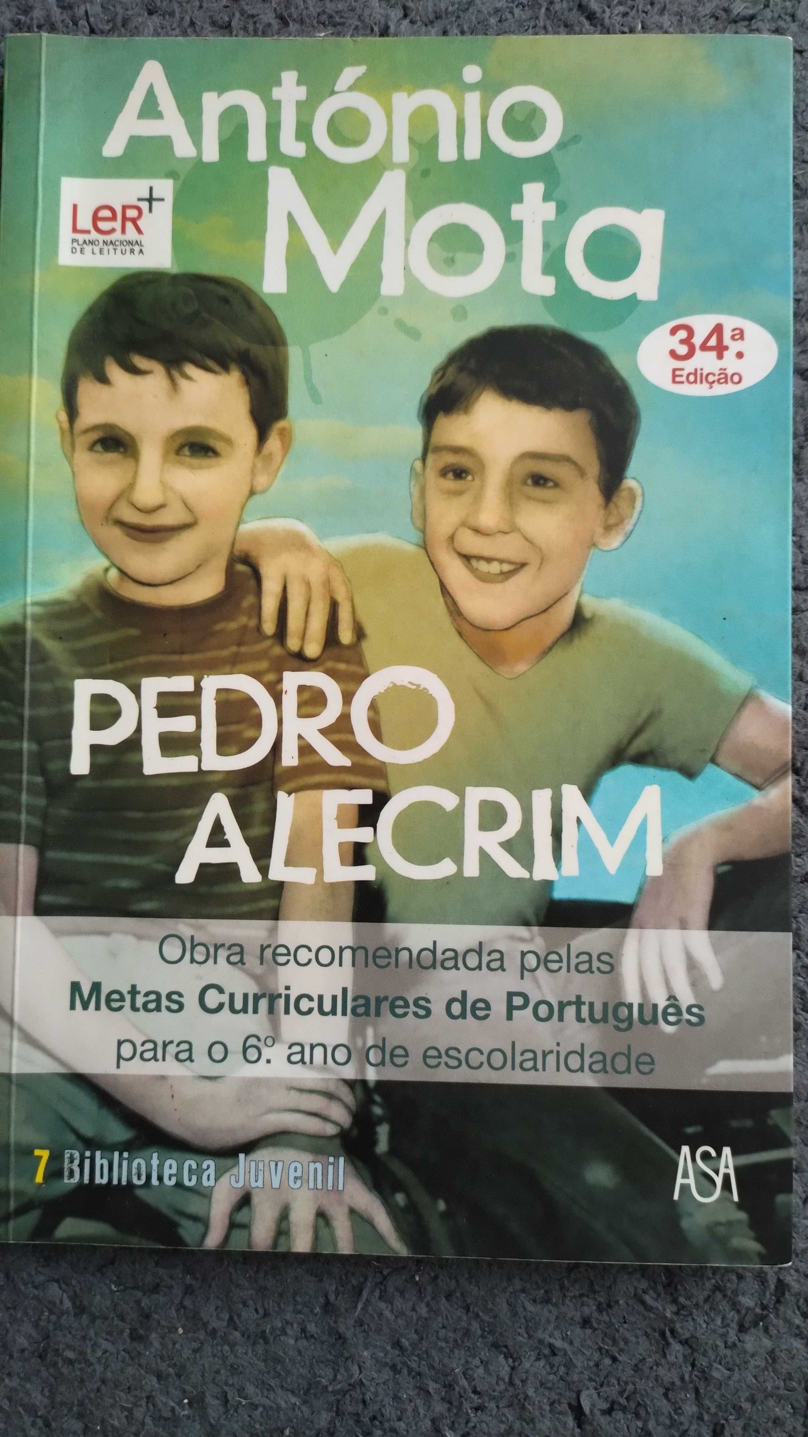 Obras recomendadas e/ou obrigatórias 6°Ano escolaridade - Plano NL