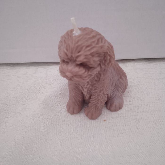 Świeczki-wesoły pudelek+serce z muszelką