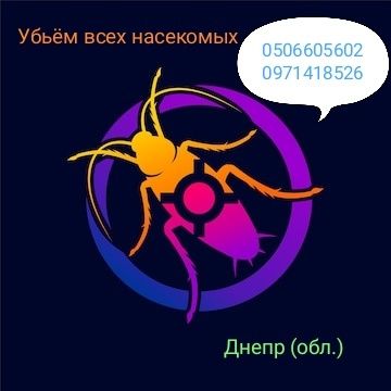 Уничтожение, Травля Тараканов, Клопов, Днепр