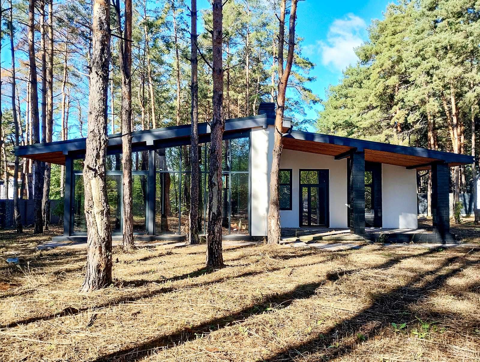 Котедж посеред лісу на території охороняємого ЖК Desna Residence