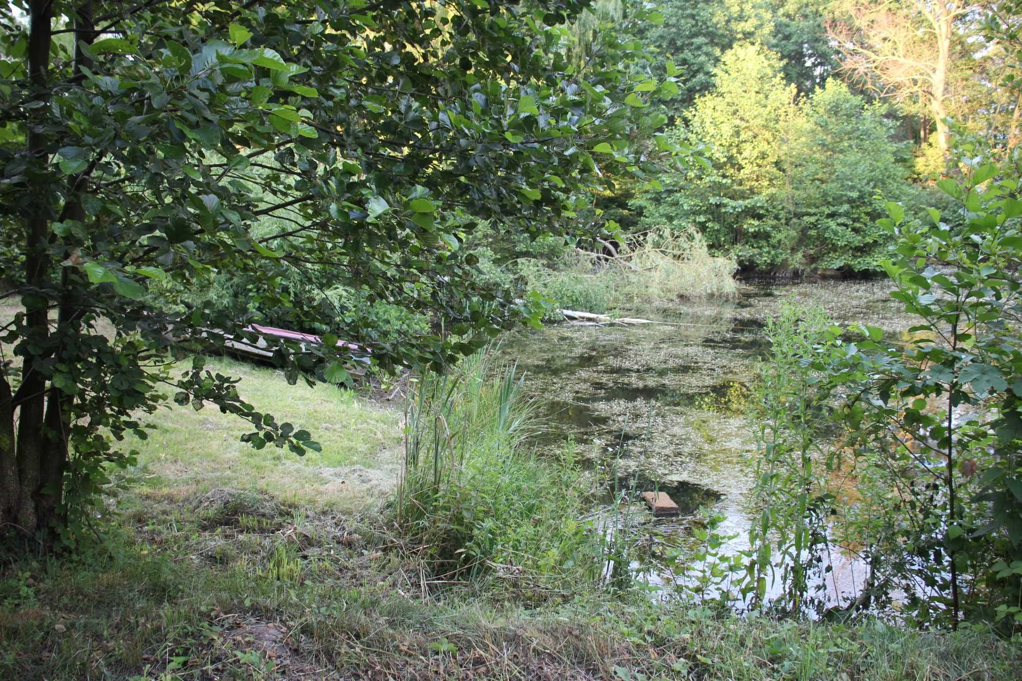 Działka z domem i stawem w Budach Czarnockich blisko Łomży