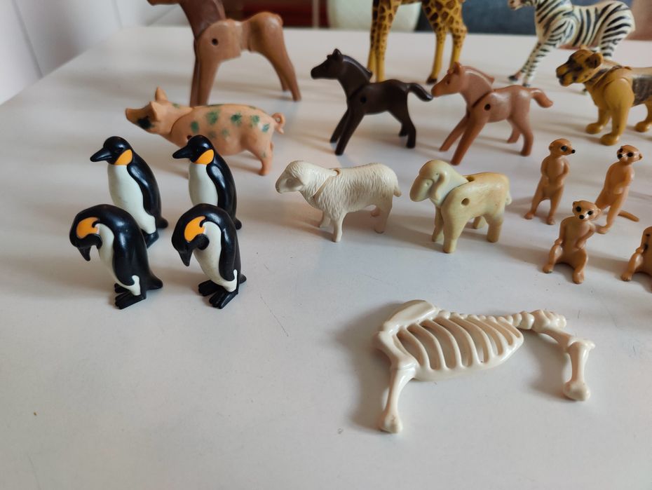 Playmobil zwierzęta - pingwiny, flamingi, surykatki