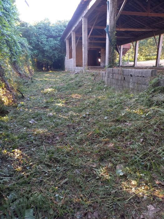 Limpeza de terrenos