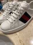 Tenis Gucci ace, novos