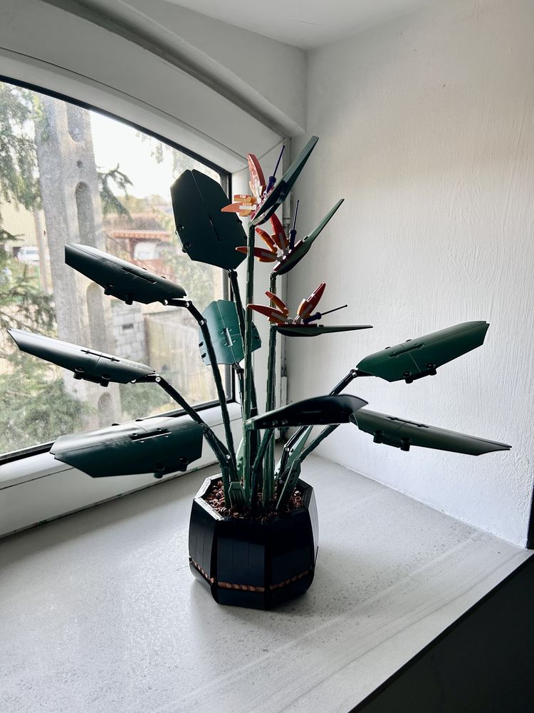 LEGO 10289 Strelicja królewska Bird of Paradise