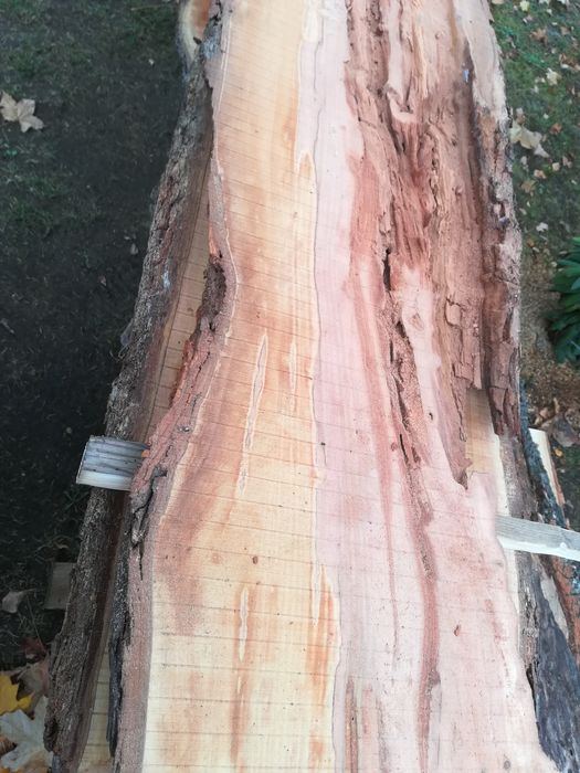 Piękne grube deski grusza 4 cmx2. 9 m ok. 15 m2