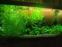 Akwarium 112l z całym osprzętem