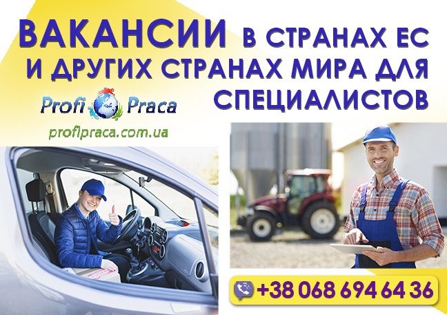 Рабочая виза и легализация в Германии