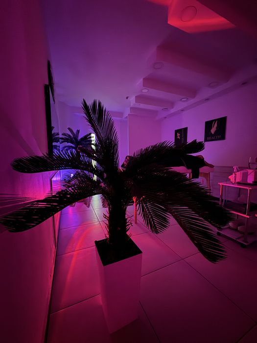 Массаж. Театр Оперы и Балета.