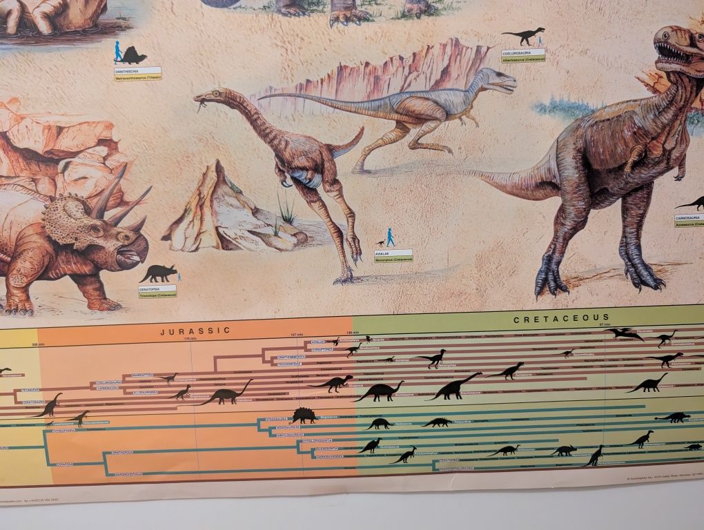 Plakat dinozaury dziecięcy do pokoju dziecięcego duży ponad A1