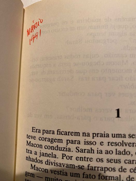 Turista por Acidente (ctt grátis)