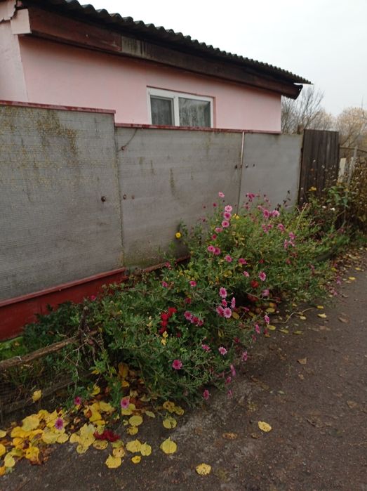 Будинок біля лісу. Всі ЗРУЧНОСТІ. Гарне транспортне сполучення.