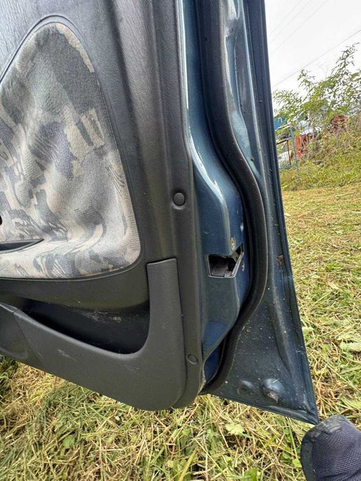 Двері до Mitsubishi Carisma (ціна за шт.)