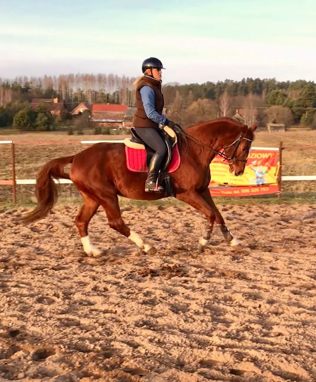 Klacz - rekreacja, sport, odznaki, Filmik