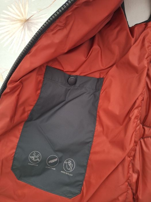 Colete Massimo dutti homem