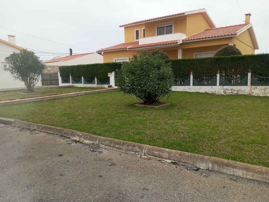 JARDINEIRO Manutenções construção jardins