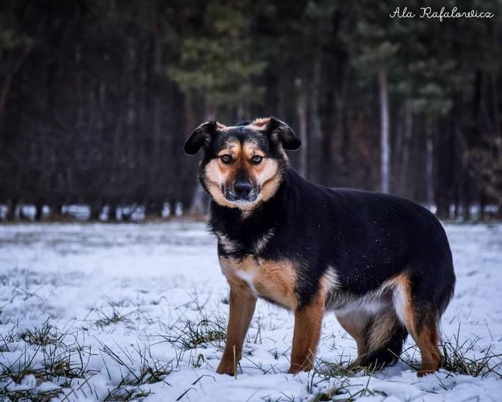 Kochana sunieczka zasługuje na swój Domek i Rodzinę!