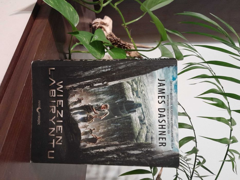 Więzień labiryntu James Dashner